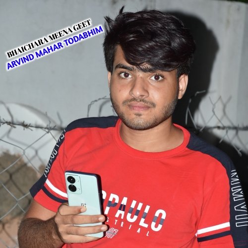 Bhaichara Meena Geet