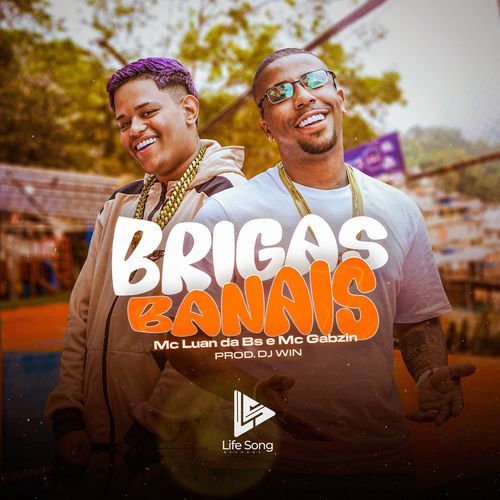 Brigas Banais