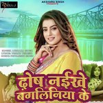 Dosh Naikhe Bangliniya Ke