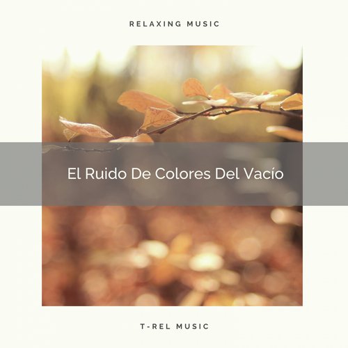 El Ruido De Colores Del Vacío cover art