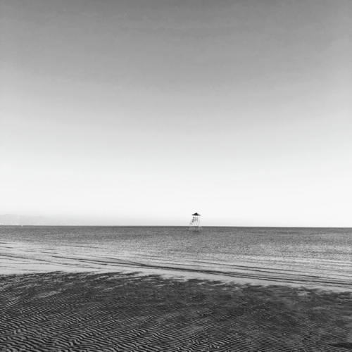 Magnolia cover art
