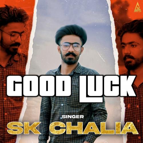 Good Luck_poster_image