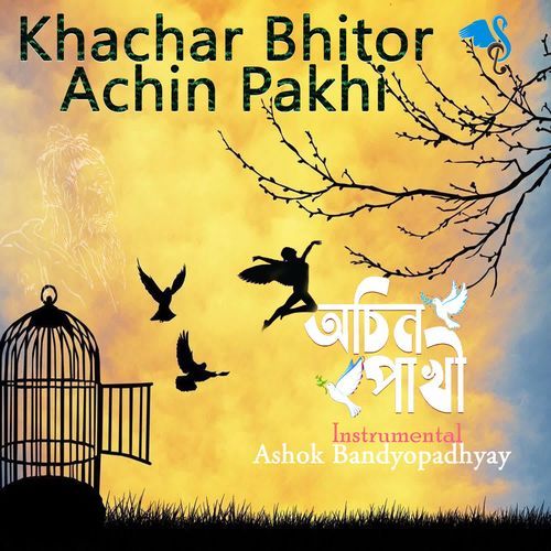 Khachar Bhitor Achin Pakhi