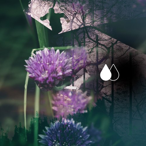 Jmk cover art