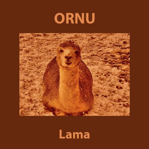 Shifu cover art