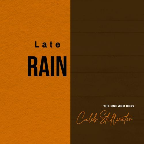 Rain Echo cover art