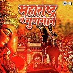 Maharastra Che Gungaan (Part 2)