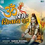 Om Namah Shivay