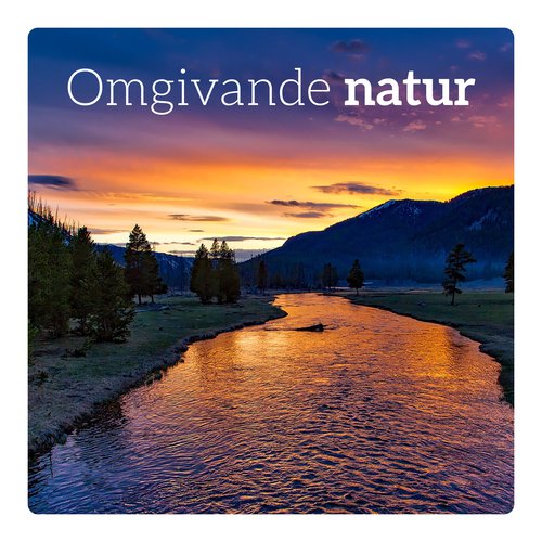 Progressiv avslappning cover art