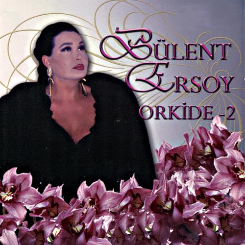 Rüya Gibi Geçen Yıllar cover art