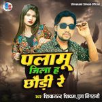 Palamu Jila Ha Chaudi Re