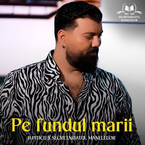 Pe fundul marii_poster_image