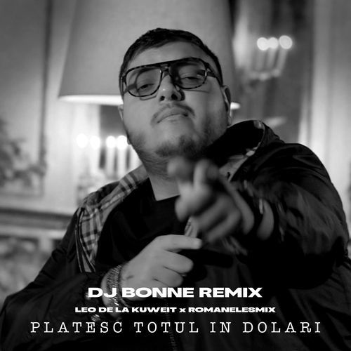 Platesc totul in dolari (Dj Bonne Remix)