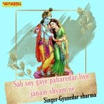 Sab soy gaye paharedar liyo janam shyam ne