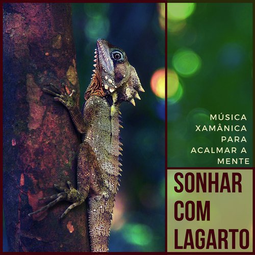 Dormir e Meditar cover art