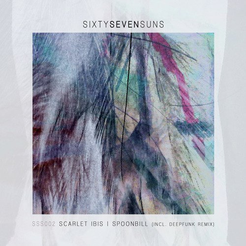 Spoonbill (Deepfunk Remix) cover art