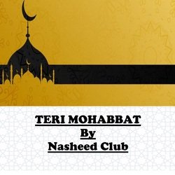 TERI MOHABBAT-Iy8vc0BHT1A