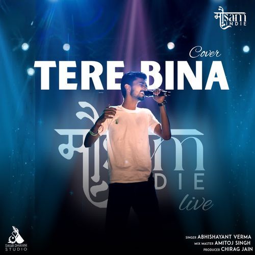 Tere Bina (feat. Amitoj Singh)