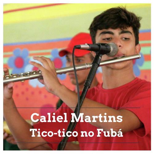 Tico-tico no Fubá cover art