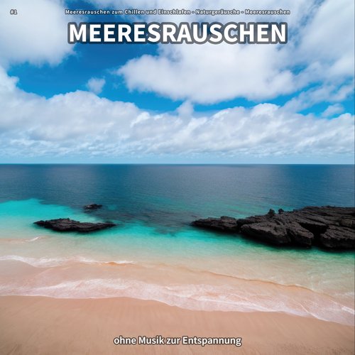 Ozeanrauschen zum Chillen cover art
