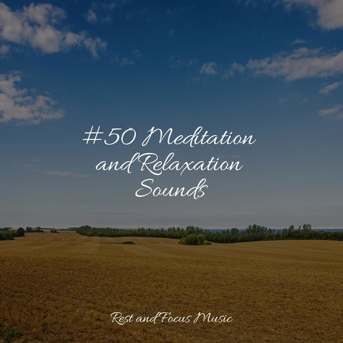 #50 Meditation and Relaxation Sounds_poster_image