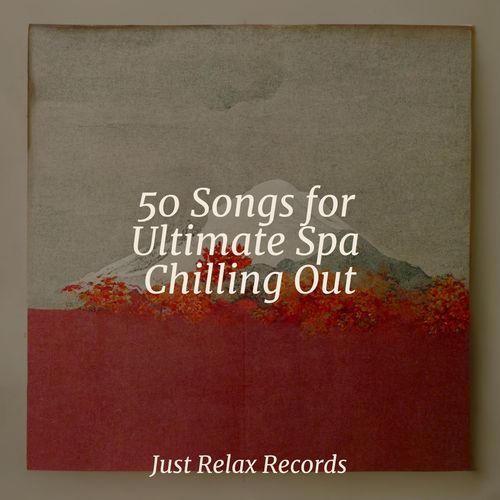 50 Songs for Ultimate Spa Chilling Out