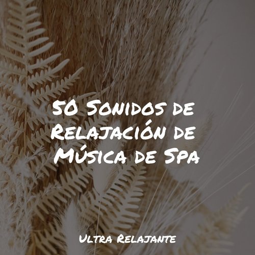 50 Sonidos de Relajación de Música de Spa