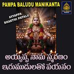 Ayyappa Nama Smaranam Irumudulathoti Payanam