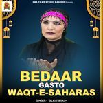 Bedaar Gasto Waqt E Saharas