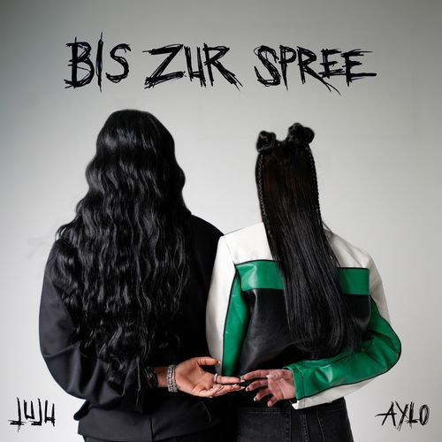 Bis zur Spree
