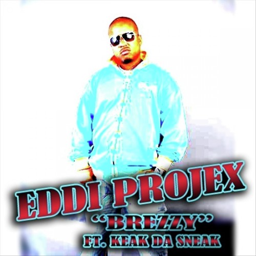 Eddi Projex