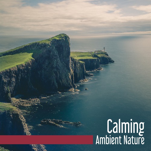 Calming Ambient Nature – Stress Relief, Nature Relaxation, Sounds to Calm Mind, Healing Waves