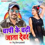Chapi Ke Chadhi Jata Devar