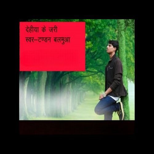 Dehiya Ke Zari (Original)