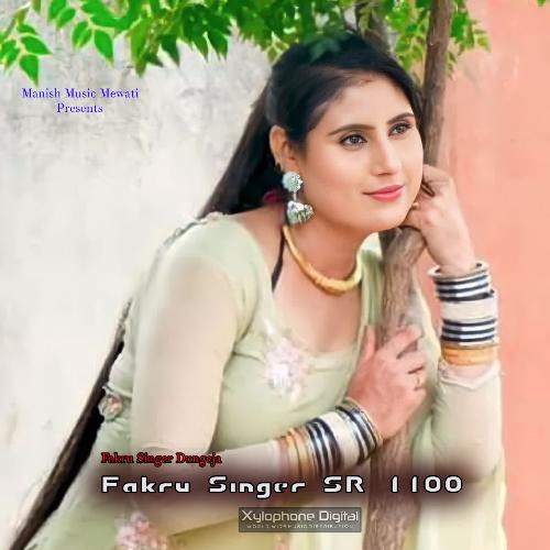 Fakru Singer SR 1100