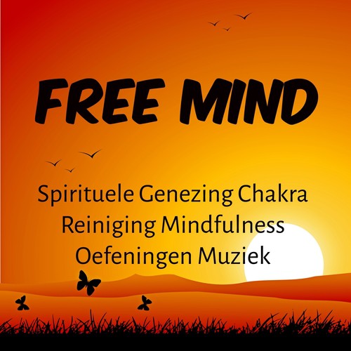 Meditation Benefits (Free Mind)