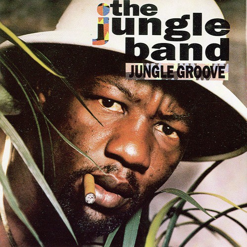 Jungle Groove_poster_image