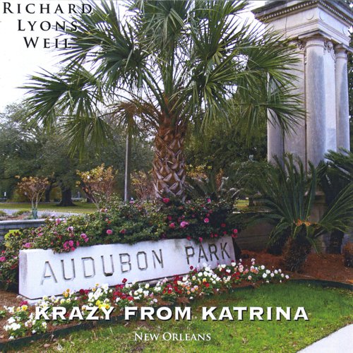 Nashville Rock Star cover art