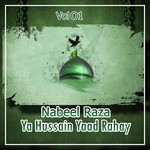 Ye Madar E Hussain Hai