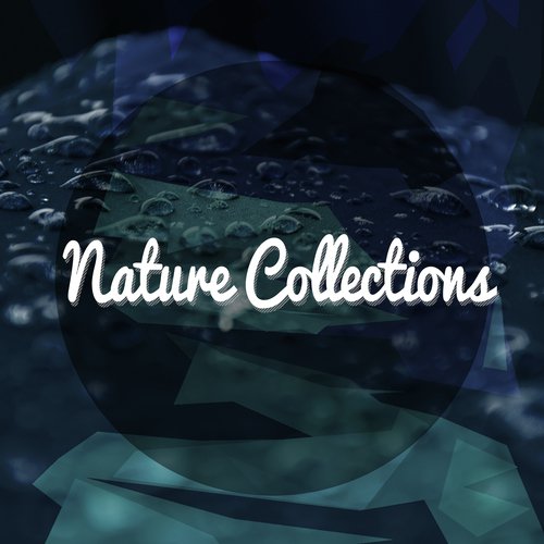 Nature Collections