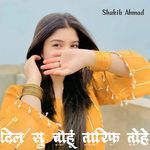 दिल सु चाहूं तारिफ तोहे