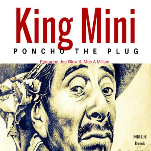 Poncho the Plug