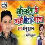 Sand Bhaisa Ke Jaise Pitai Gaila