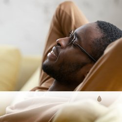 Entrée Mystique Ambiante du Vent vers la Béatitude du Zen