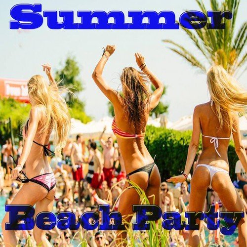 Summer Beach Party_poster_image