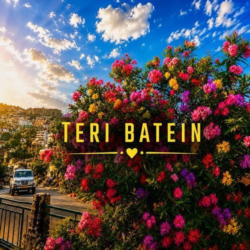 Teri Batein