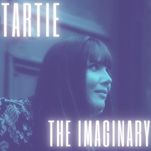 The Imaginary cover art
