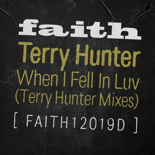 When I Fell In Luv (Terry Hunter Mixes)_poster_image