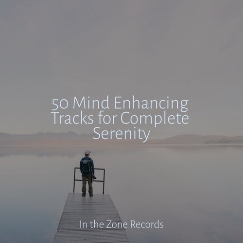 50 Mind Enhancing Tracks for Complete Serenity