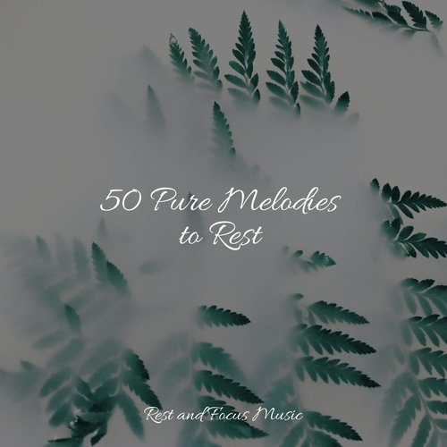 50 Pure Melodies to Rest_poster_image